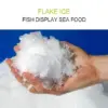 Ice Machine Flake TP-300