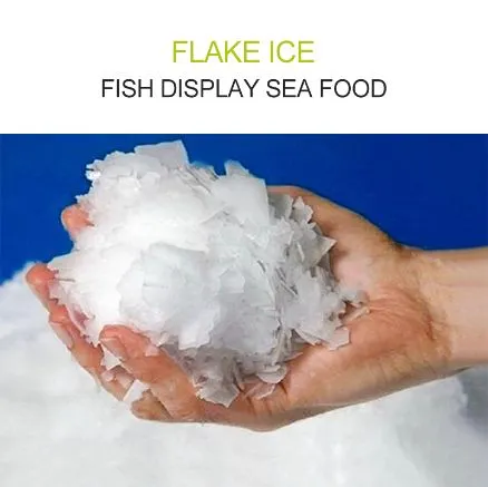 Ice Machine Flake TP-300